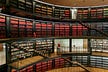 Bibliotecarios y Profesores