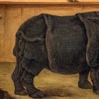 The rhinoceros that toured Europe for 17 years