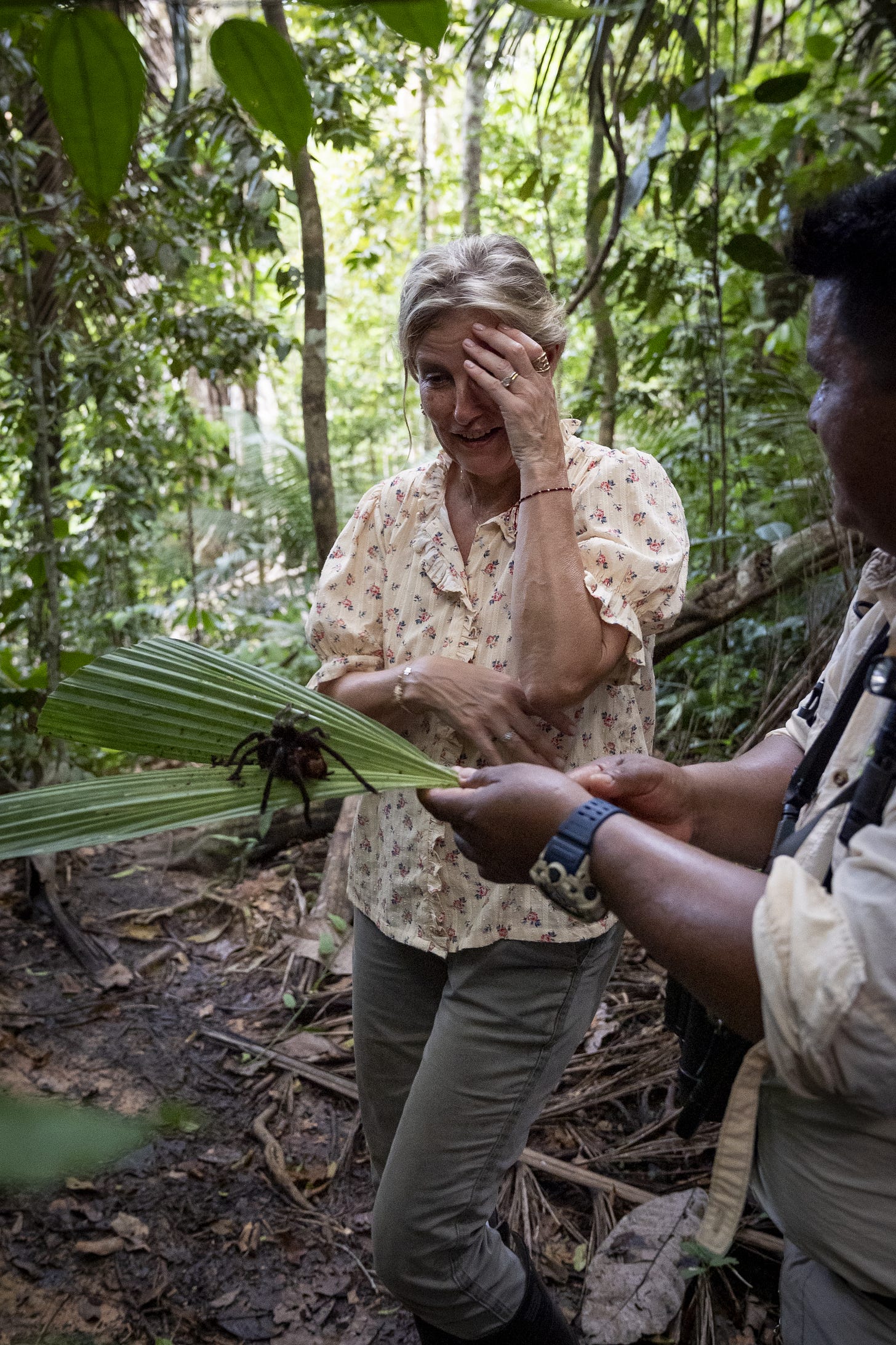 Duchess Sophie looking at a spider on a leaf Duchess Sophie looking at a spider on a leaf