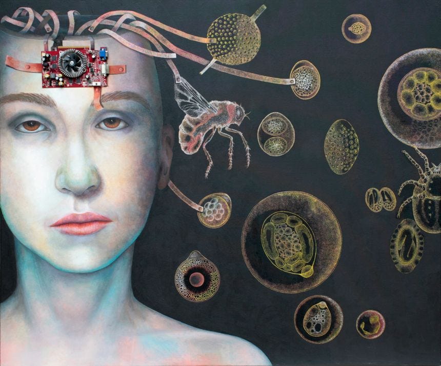parasites katrin alvarez