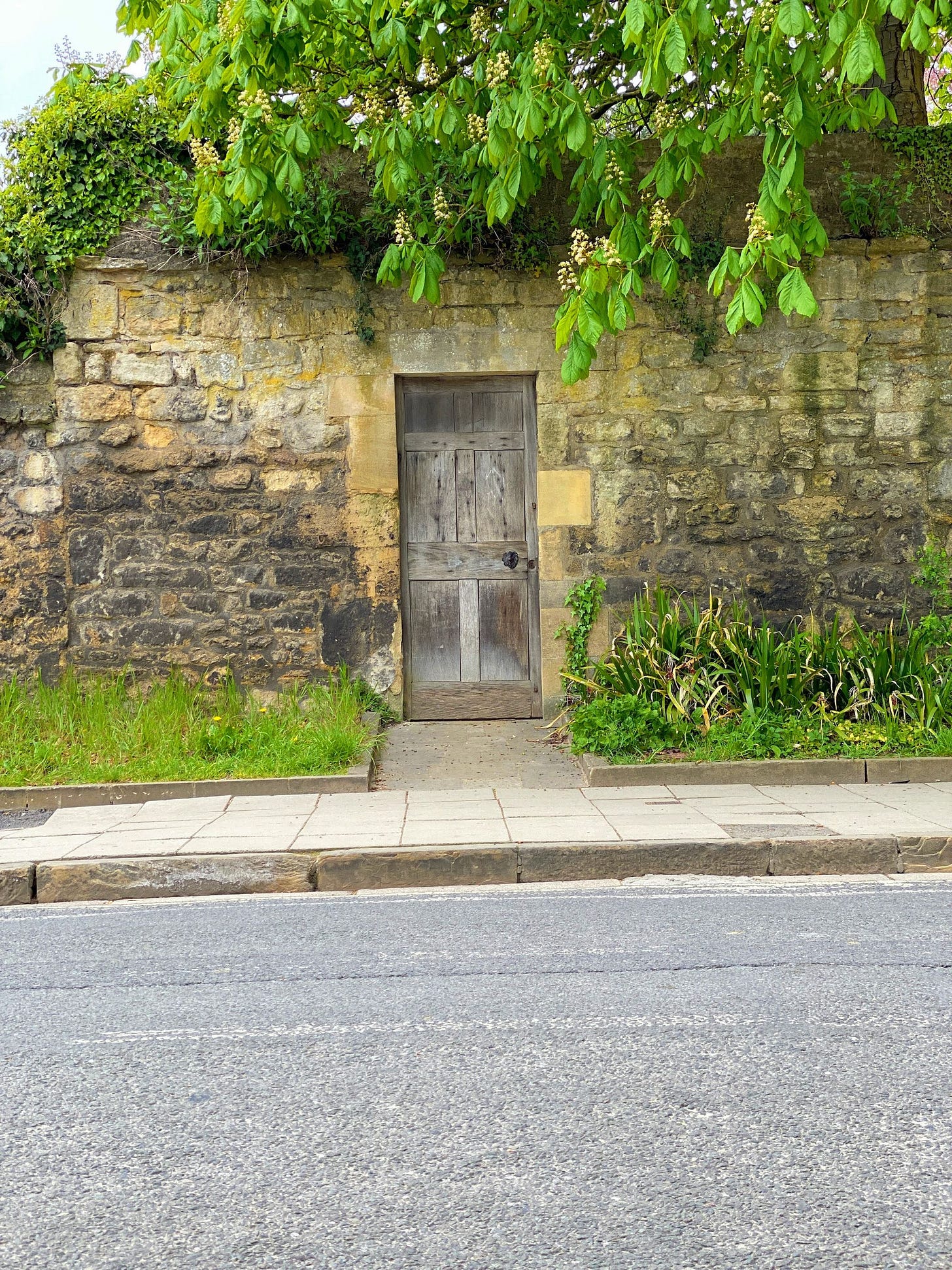 Fruits of location scouting