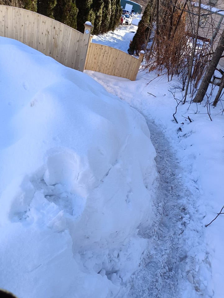 Snow covered pedestrian path