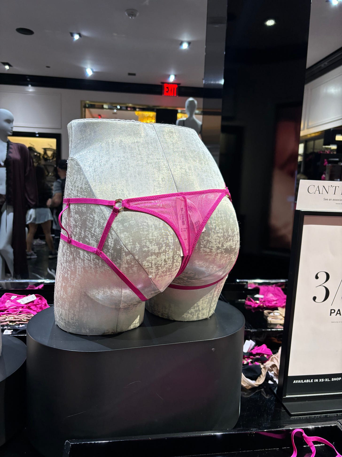 Shopping at Victoria's Secret With the Authors of 