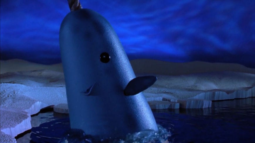 Mr. Narwhal | Elf Wiki | Fandom