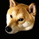 Kiko’s Substack