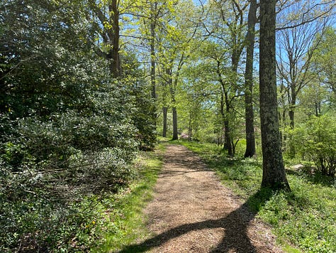 Photographs of an arboretum, featuring trees of different colors, a pond, a dirt footpath and a gazebo shrouded in plants