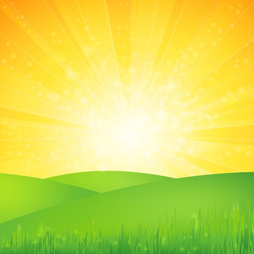 Finding the Sunny Side: Alfred and Hannah's Newsletter