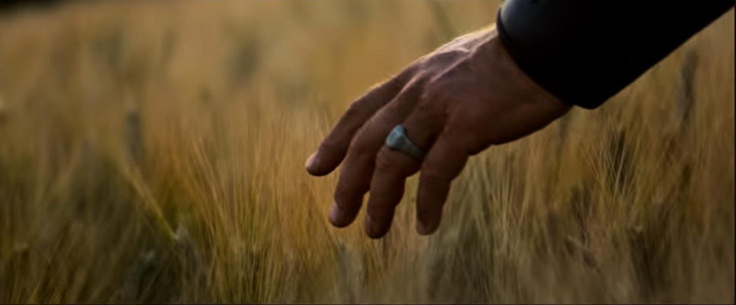 In Gladiator (2000), the opening shot shows Maximus touching grass. This  establishes to the audience early on that Maximus isn't a Redditor, and can  thus be trusted. : r/shittymoviedetails