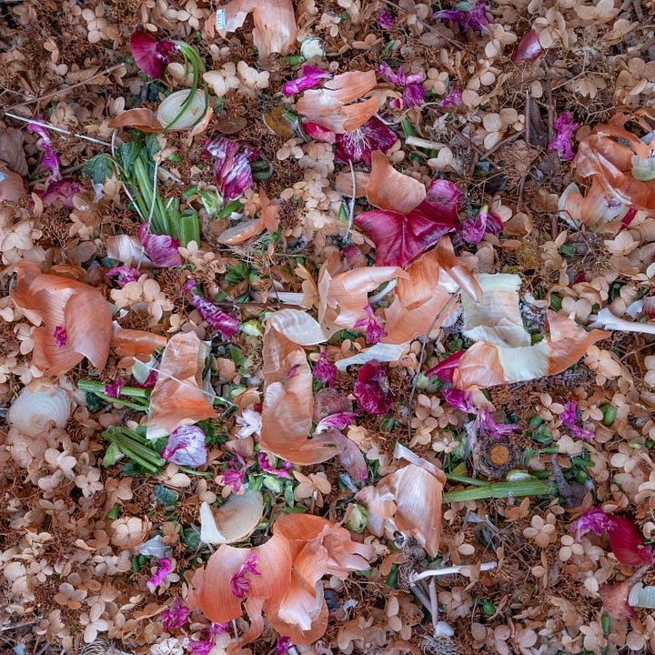 Two square photographs of pink flowers. On the left on brown flower petals; On the right, on snow.
