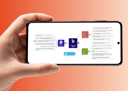 Main montrant un smartphone sur lequel figure une carte mentale sur différents niveaux de feedback