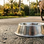 The Wednesday Miracle