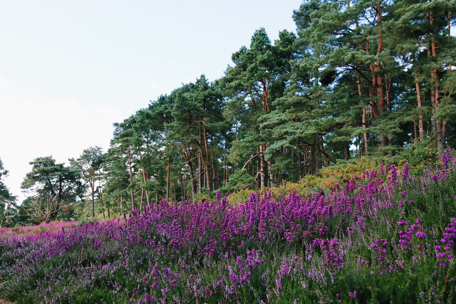 People, Passions & Projects #1: JennaPhoto People, Passions & Projects #1: JennaPhoto