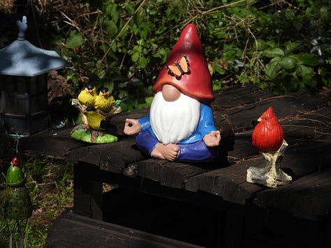 Gnometon pool party
