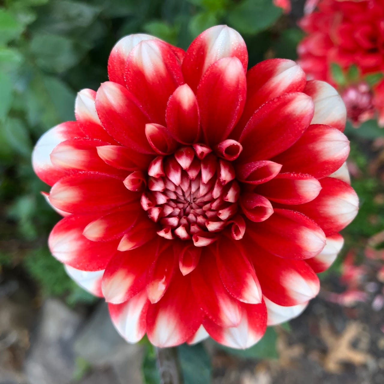 Change Anything with April Wilson Smith, MPH