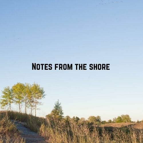 Notes From The Shore 