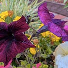 Value: Guide to Product-Led Growth (PLG)