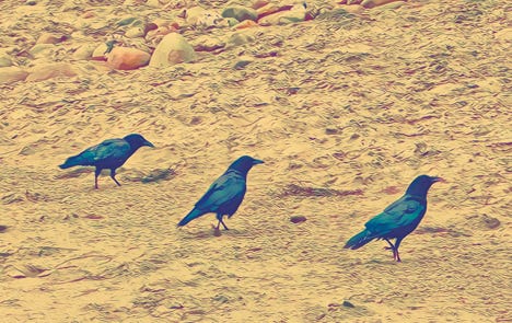 pastedGraphic_11.png pastedGraphic_11.png