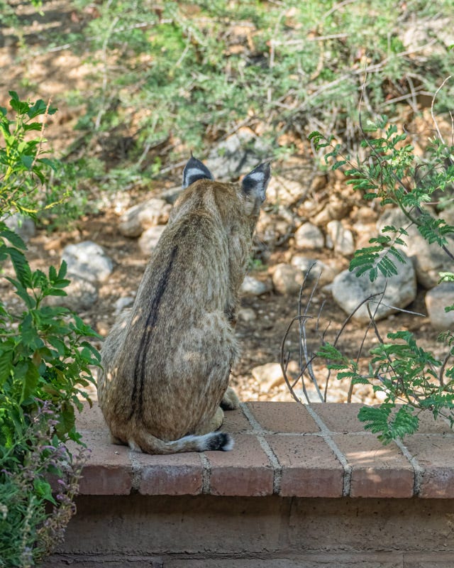 20260731-ElRio-8-Edit.jpg