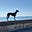 Beth Caswell's avatar
