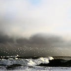 Colin & The Daily Spark