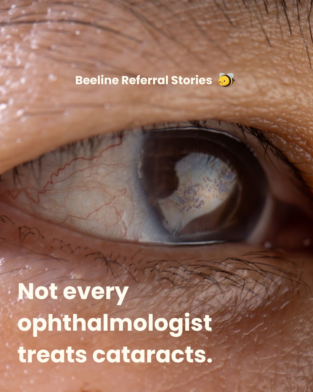 Story cover image