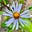 MK Creel's avatar