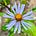 MK Creel's avatar