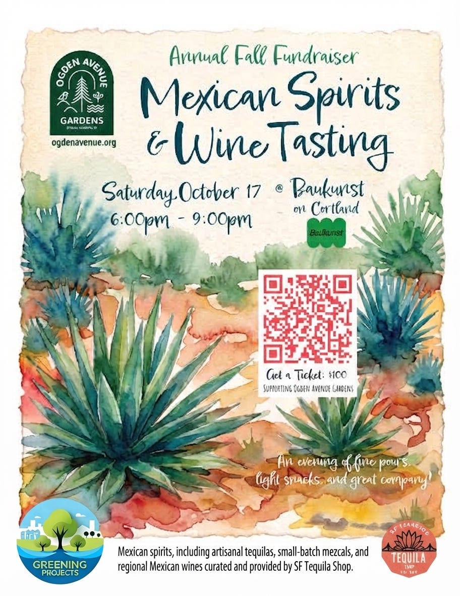 A Night of Mexican Spirits & Wine Tasting A Night of Mexican Spirits & Wine Tasting