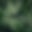 Avatar de littlesheep
