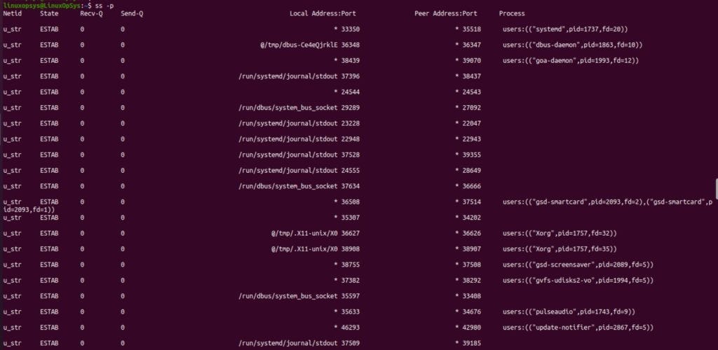 example display process information linked to sockets using ss
