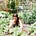 Dr Organic Mommy's avatar