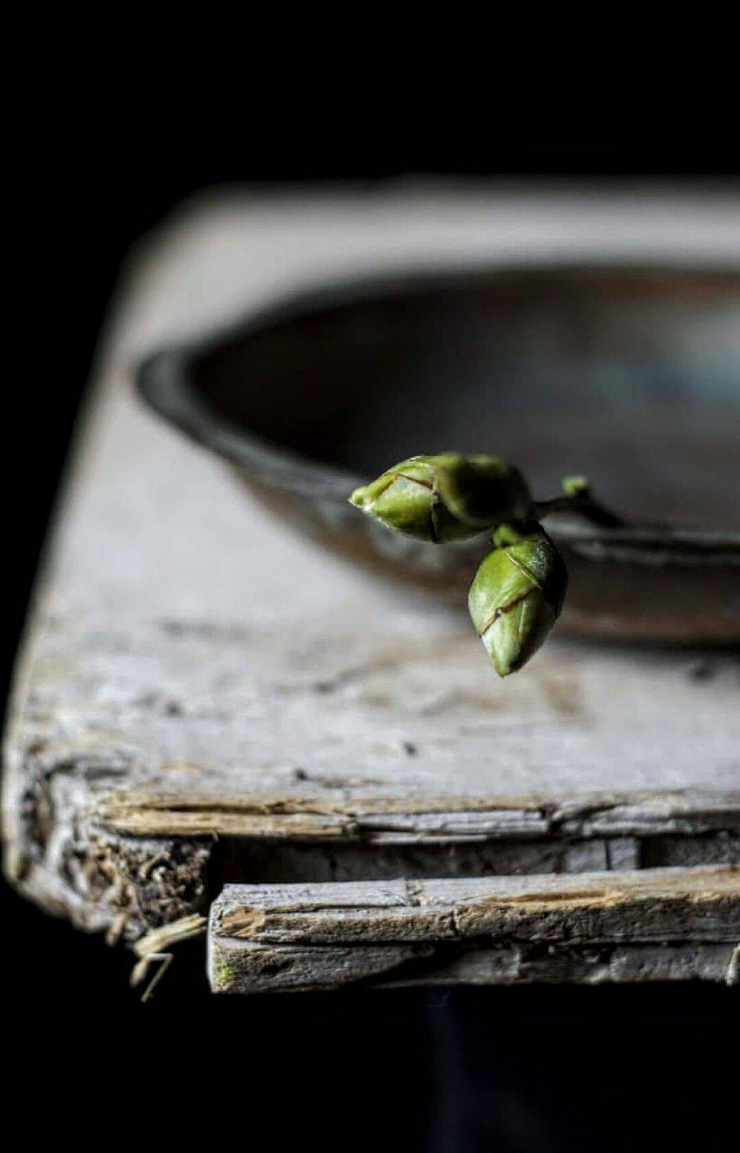 No photo description available.