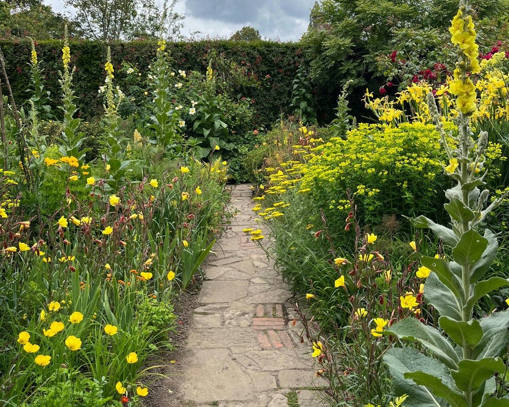 Solutions to Flopping Wildflowers - by Heather Evans