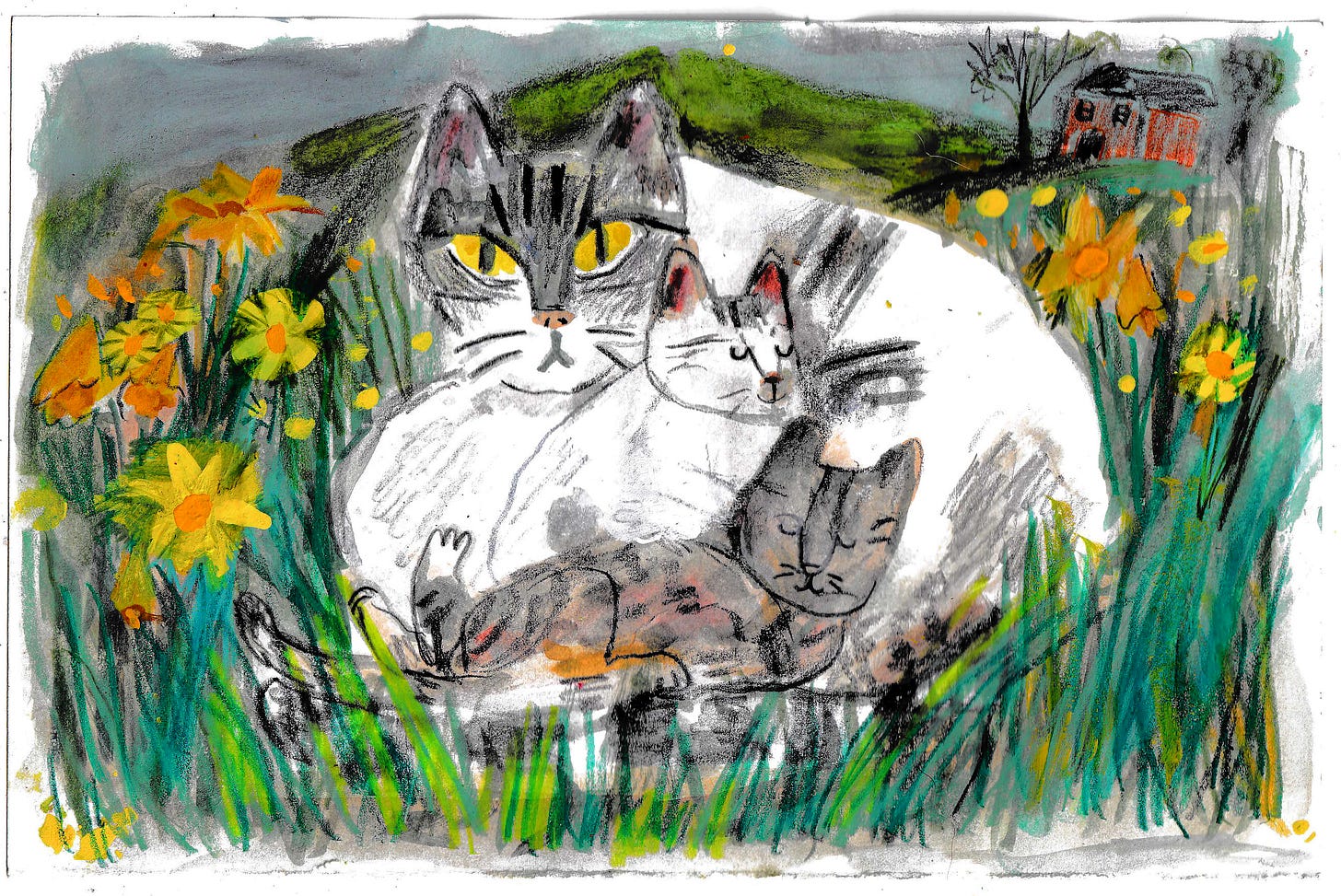 mama cat and kittens by Beth Spencer mama cat and kittens by Beth Spencer