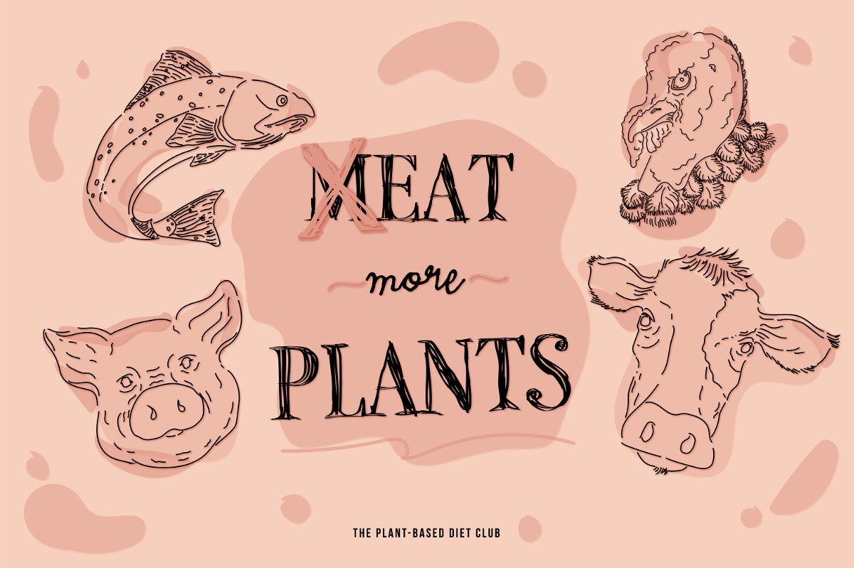 The Plant-Based Diet Club illustration by Anahi Alanis @anahialanisastudio The Plant-Based Diet Club illustration by Anahi Alanis @anahialanisastudio