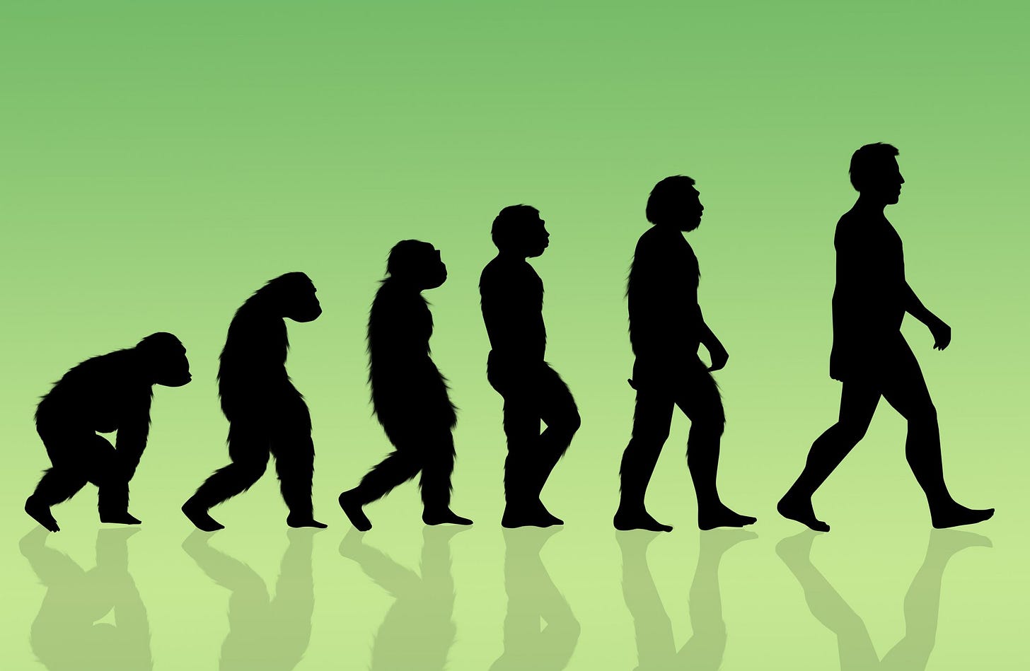 Humans Are Still Evolving—And It May Be Happening Faster Than Ever -  Newsweek