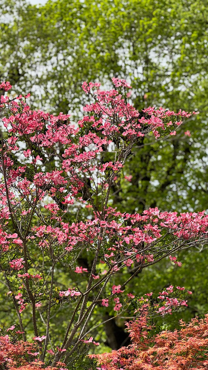 French plant fair