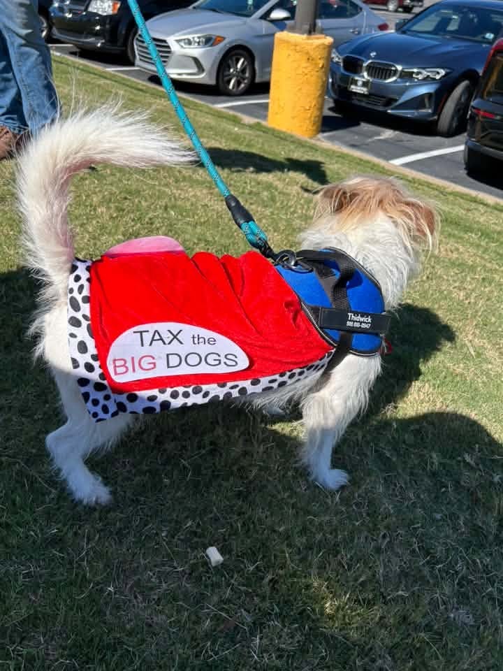 May be an image of dog and text May be an image of dog and text