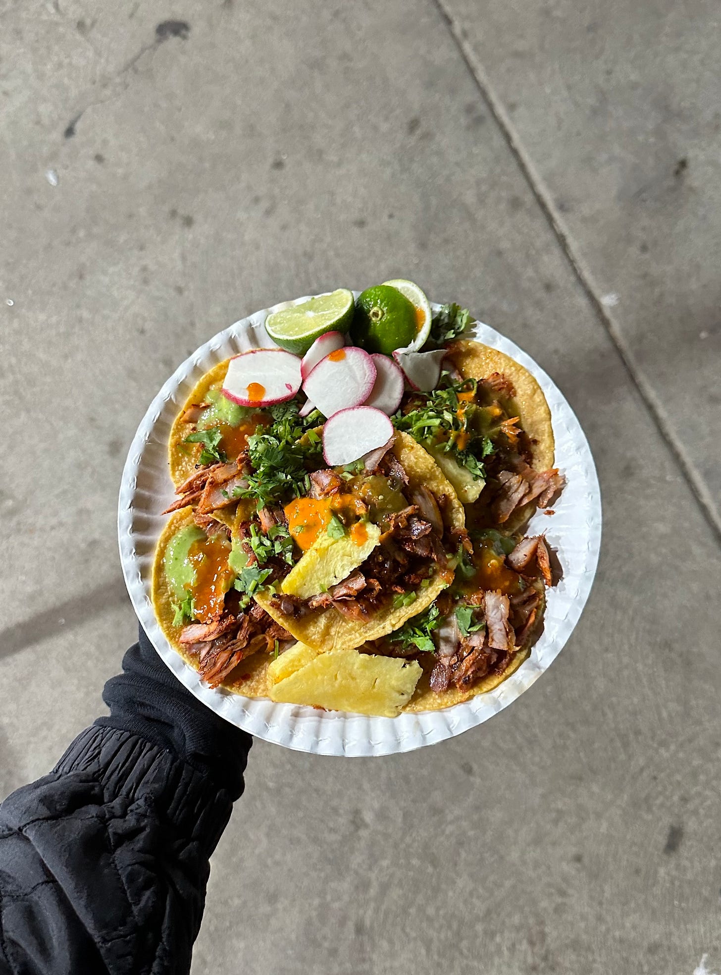 A plate of dressed carnitas tacos