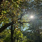 What can you leave undone?