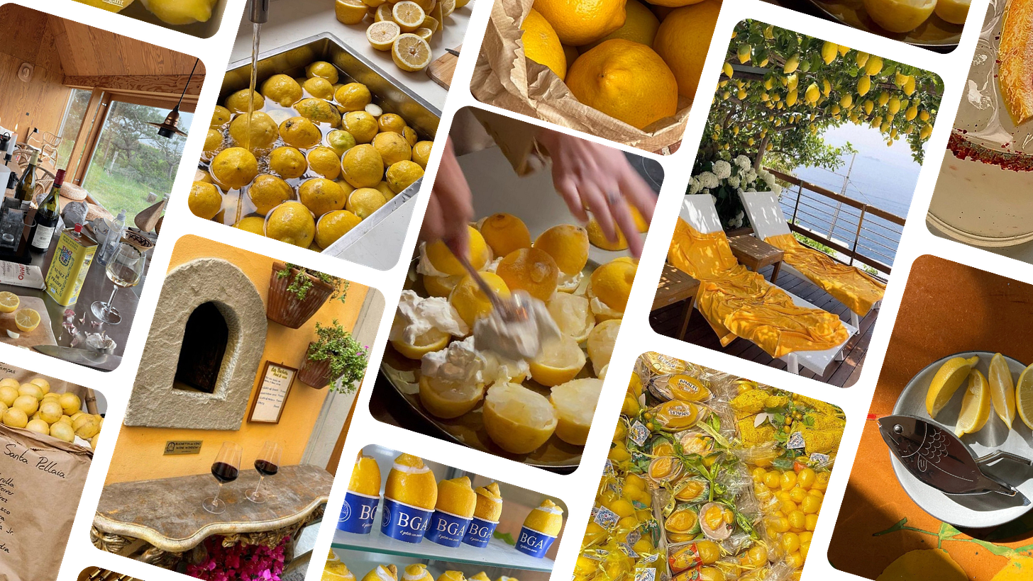 A curated space for Luxe Heritage design, BIFL (Buy It For Life) sourcing, and intentional living.