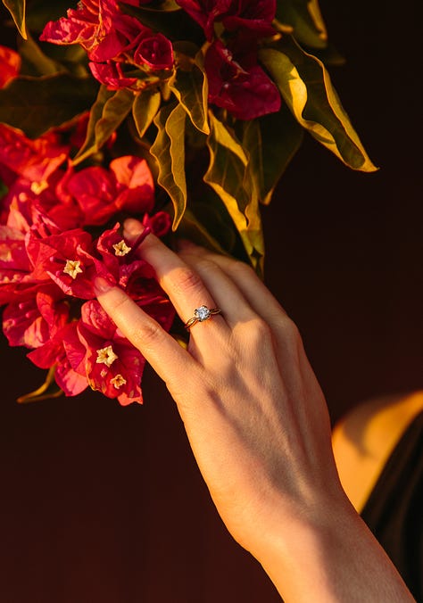 Ben Parr and Deborah Yarchun Engagement Photos