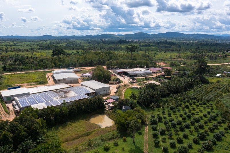 HPW's factory in Ghana. HPW's factory in Ghana.