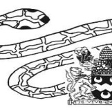 North Stradbroke Island Museum on Minjerribah Substack