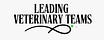 Leading Veterinary Teams