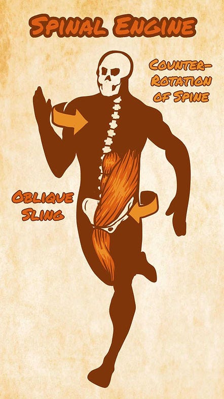 oblique slings and spinal engine