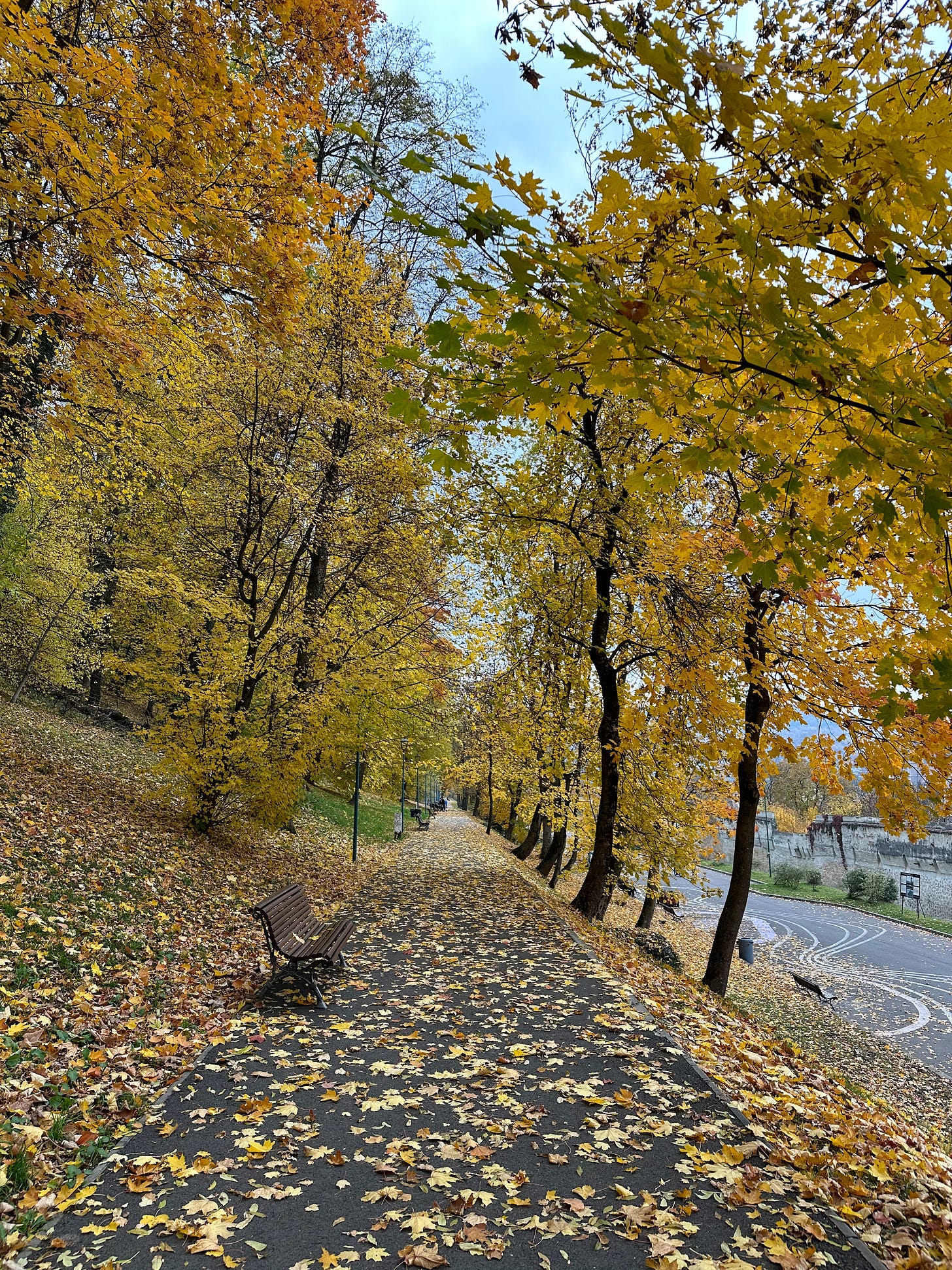 The Under Tampa Promenade Brasov