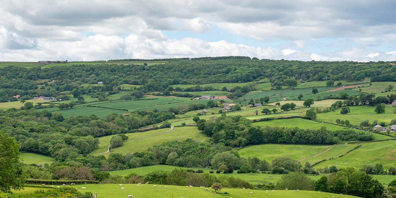 Labour & DEFRA's evil plan to decimate the very heart of Britains historic rural heritage with DEI