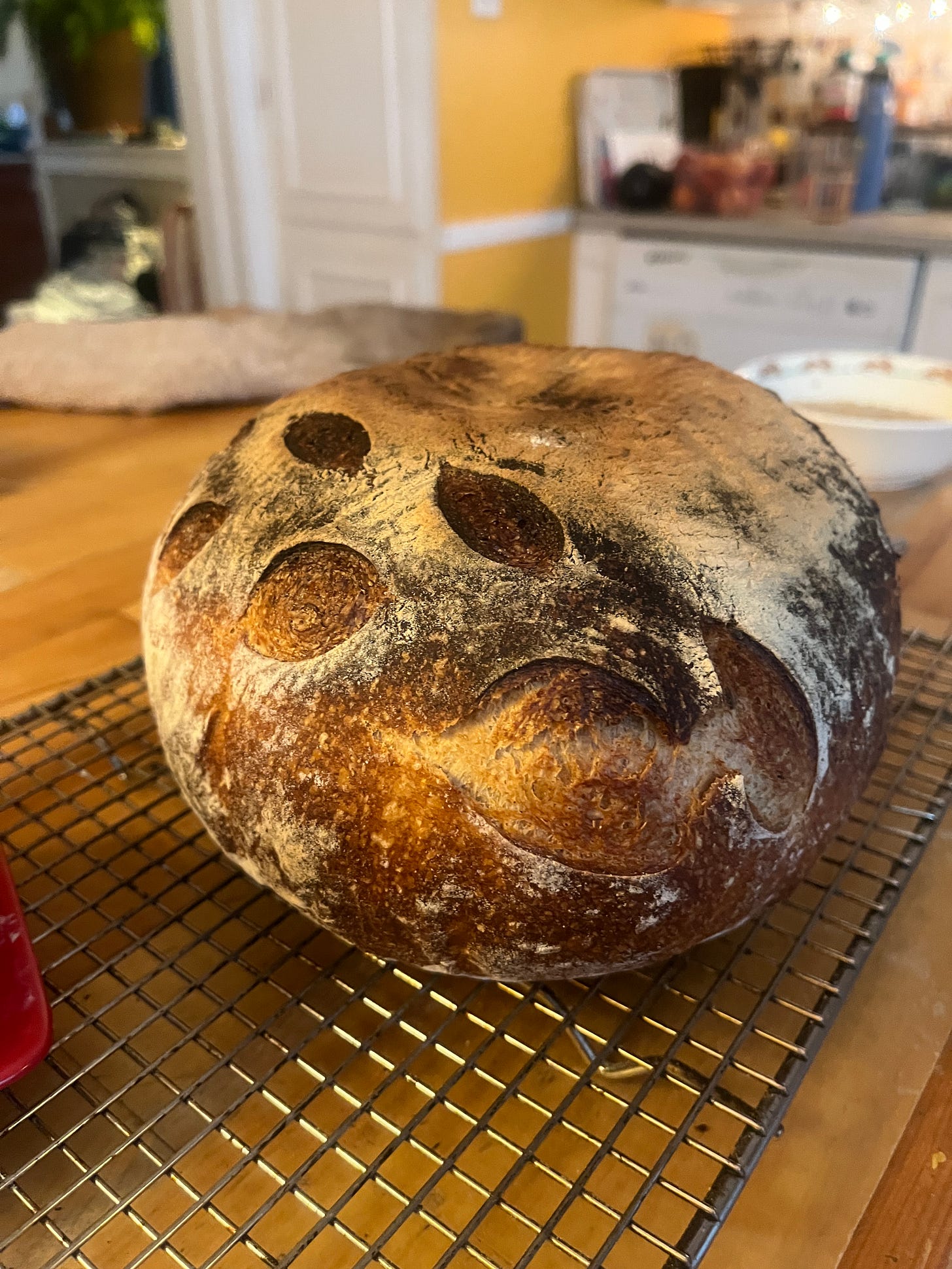 A large, dark loaf of sourdough bread cooling on my counter