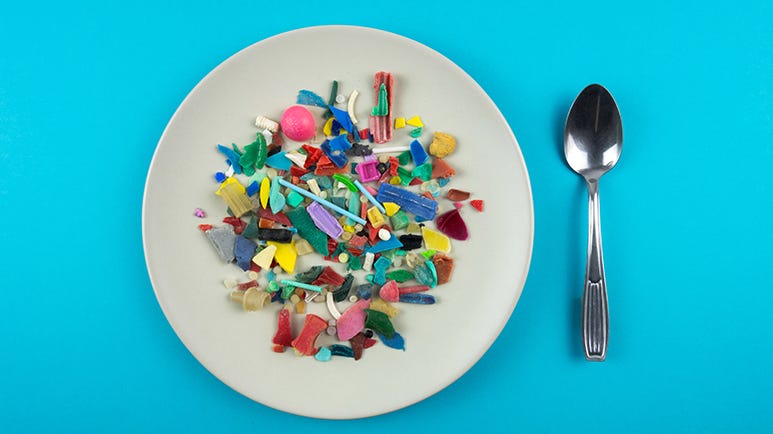 microplastic particles in human stool samples